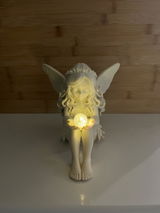 David.M review photo
