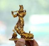 Danvir review photo