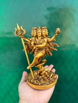 Shivani review photo