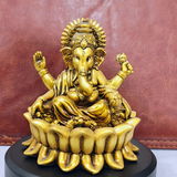 Kabirarohit review photo