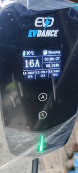 Lisa review photo