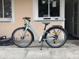 Anton R. review photo