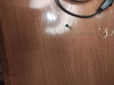 Josefina R. review photo