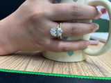 G**p review photo