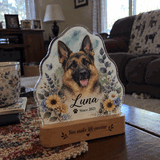 Tilly's Mom review photo