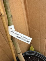 Scammed by Everglades review photo