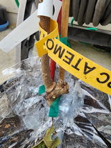 Amy K. review photo