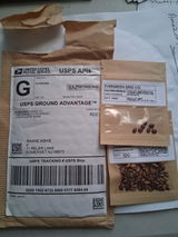 Raimie Ashie review photo