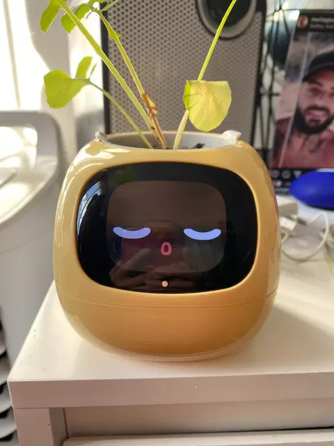 IVY Smart Flower Pot
