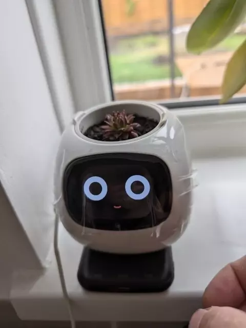 IVY Smart Flower Pot