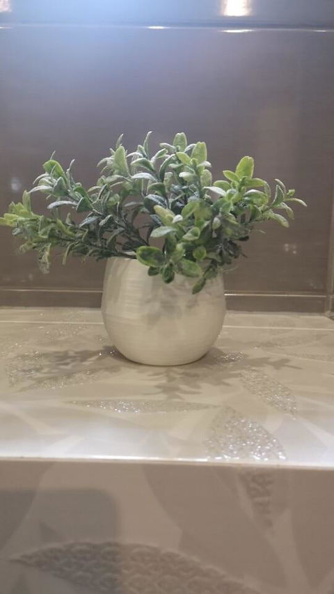 Colorful Succulent Pot