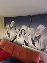 Jenny Braybrooke review photo