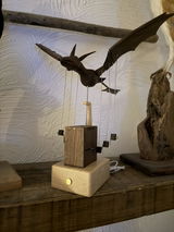 David Potts review photo