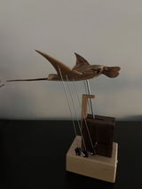 Sander van der Ree review photo