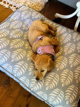 Valarie F. review photo