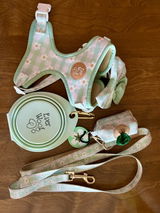 Shannon C. review photo