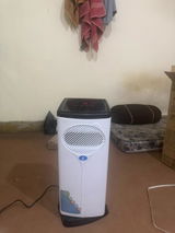 shahzad review photo