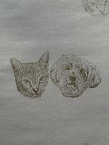 Cheryl Schmidt review photo