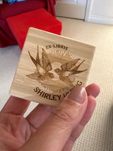 Y Lin review photo