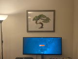 Andrew Lesch review photo