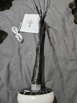 Aleess review photo