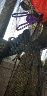 LLL review photo