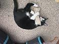 Amazon Customer review photo
