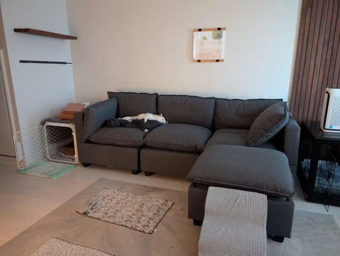 5 Piece L-Shape + Ottoman | Everyone Dream Sofa