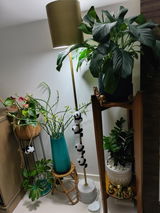 A.y. review photo
