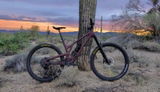 Ronald J Nettleton review photo