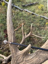 Branden R. review photo