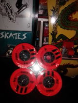 Dalton review photo