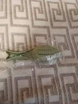 GVYk review photo