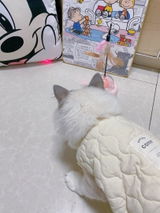 James M. review photo