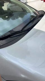 Brandon review photo