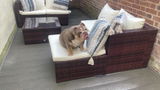 Great priced, value garden furniture review photo