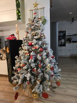 Customer review photo