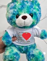 A Hug From Heaven - Teddy Bear With Personalized Photo Shirt
