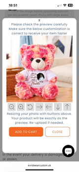 A Hug From Heaven - Teddy Bear With Personalized Photo Shirt