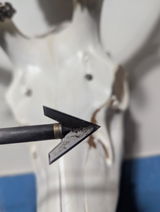 Anonymous review photo