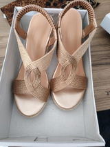 Charlotte H review photo