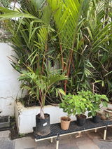 Mohamed Sathick review photo