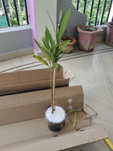 Dr Arun review photo