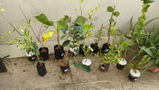 Mr.Gaurav vinod review photo