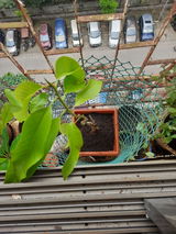 Pradip Hirlekar review photo