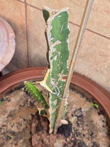 Parth Sarthy review photo
