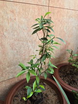 Parth Sarthy review photo