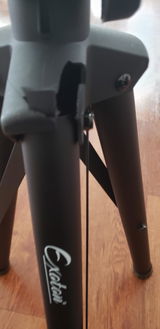 Tawanna B review photo