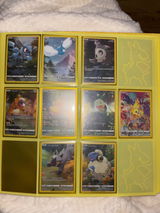D.N. review photo