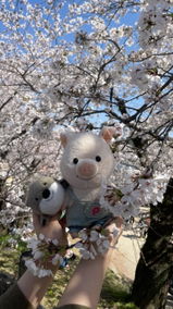 花 小山 review photo